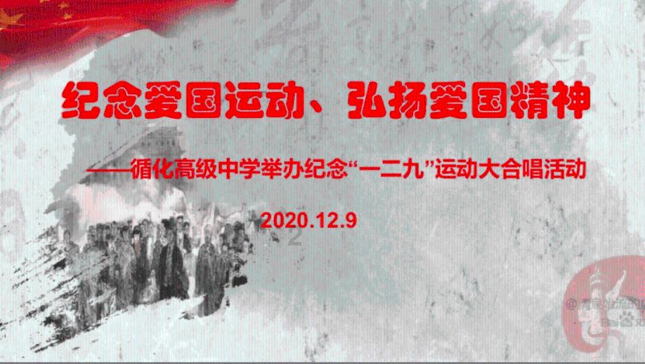 见习小魔女勇闯猪窝岛