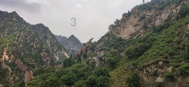 外孙去留学姥姥送什么好？游戏画面