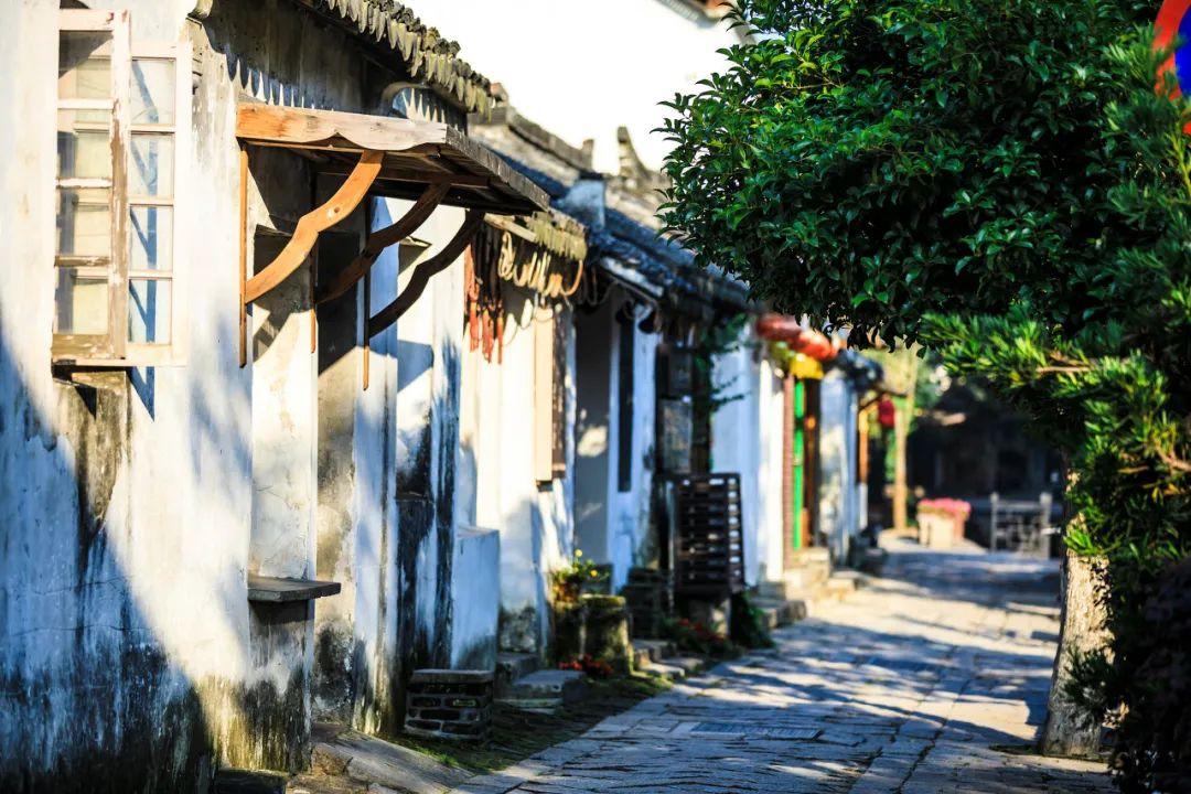 旋转的圆球
